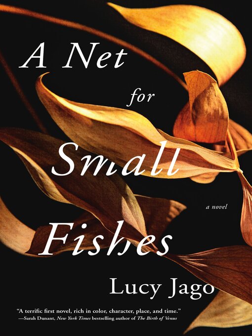 Title details for A Net for Small Fishes by Lucy Jago - Wait list